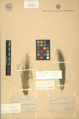 LE 01002545