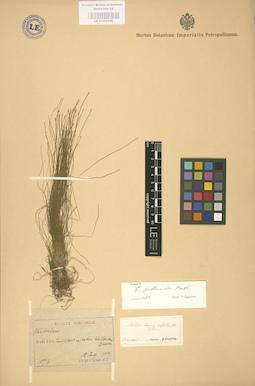 LE 01002546
