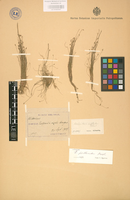 LE 01002547