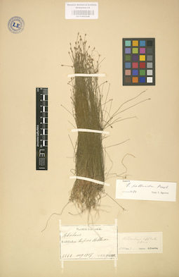 LE 01002548
