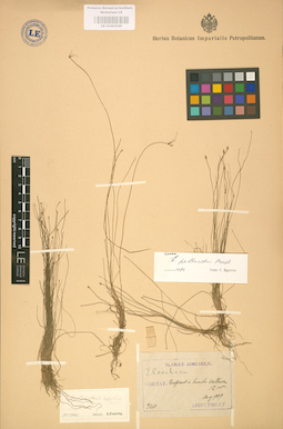 LE 01002549