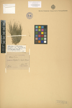 LE 01002550
