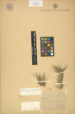 LE 01002551