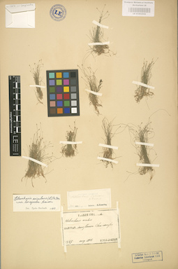 LE 01002552