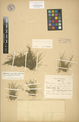 LE 01002554
