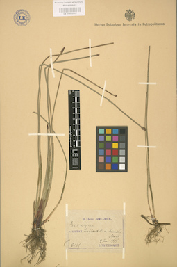 LE 01002555