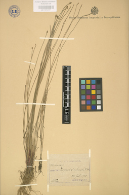 LE 01002557