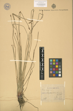 LE 01002558