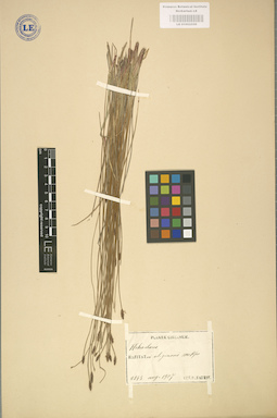LE 01002559