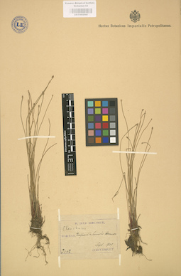 LE 01002560