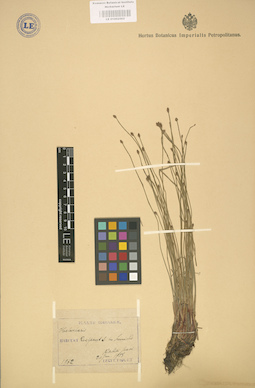 LE 01002562