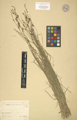 LE 01002586