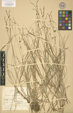 LE 01002587