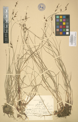 LE 01002588
