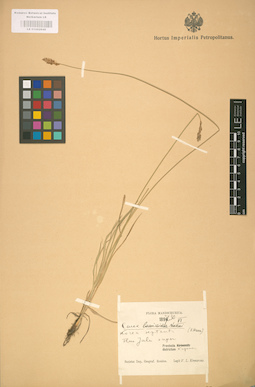 LE 01002640