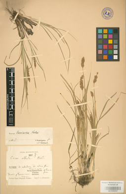LE 01002641