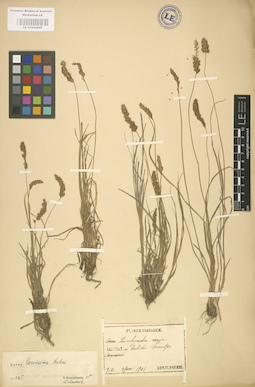 LE 01002642