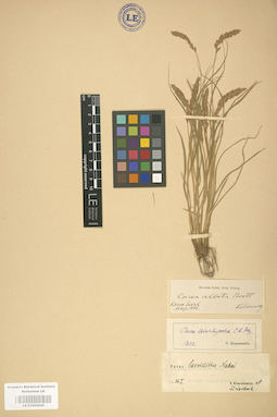 LE 01002645