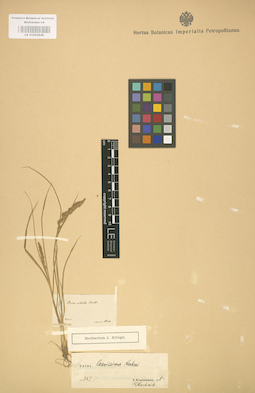 LE 01002646