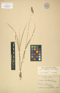 LE 01002647