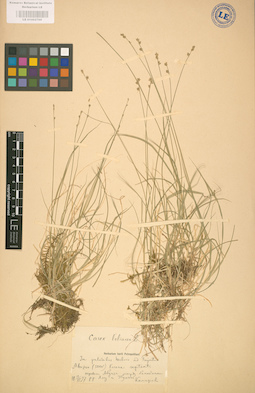 LE 01002700