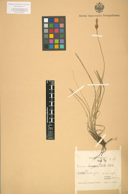 LE 01002701