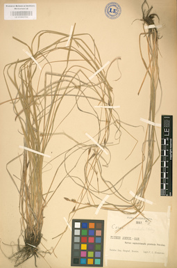 LE 01002702