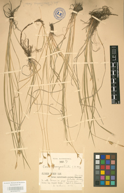 LE 01002703