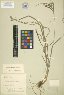 LE 01002743