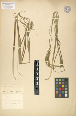 LE 01002764