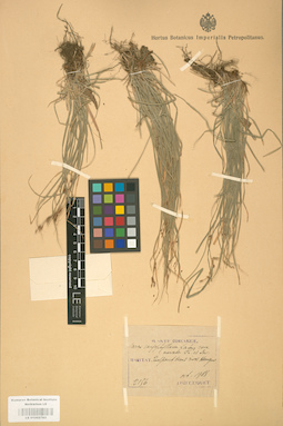 LE 01002784