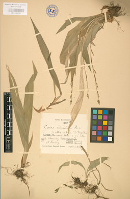 LE 01002787