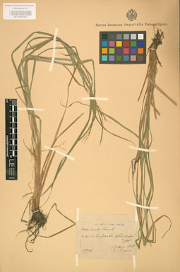 LE 01002802