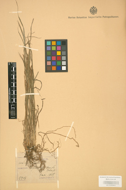 LE 01002803