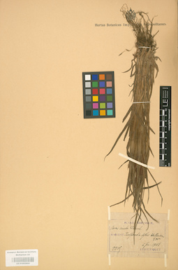LE 01002804