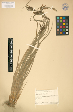 LE 01002805
