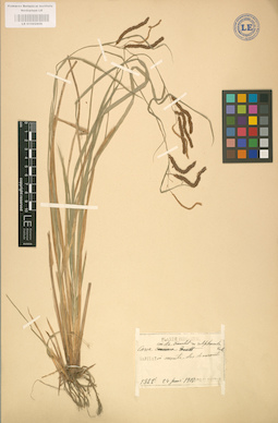 LE 01002806