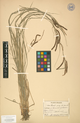 LE 01002807