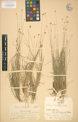 LE 01002817