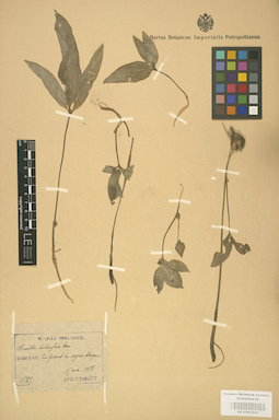 LE 01002856