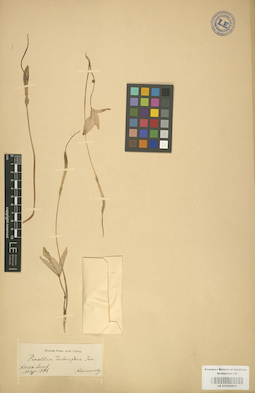 LE 01002859