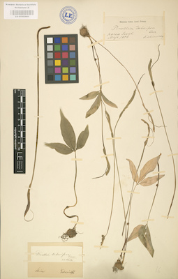 LE 01002860