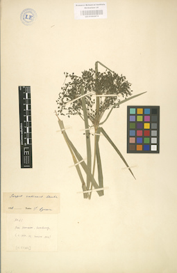 LE 01002874