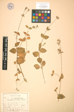 LE 01002876