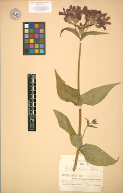LE 01002878