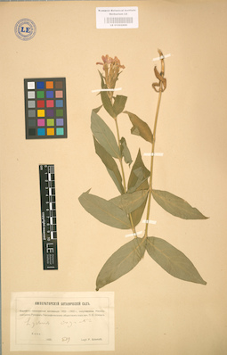 LE 01002880