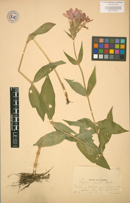 LE 01002881