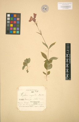 LE 01002882
