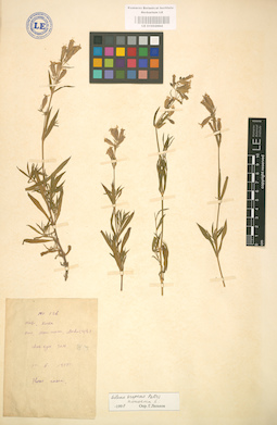 LE 01002884