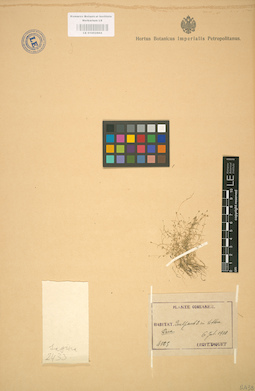LE 01002894